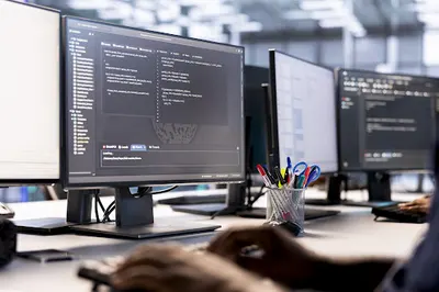 Strony internetowe Szczecin Piotr Monka